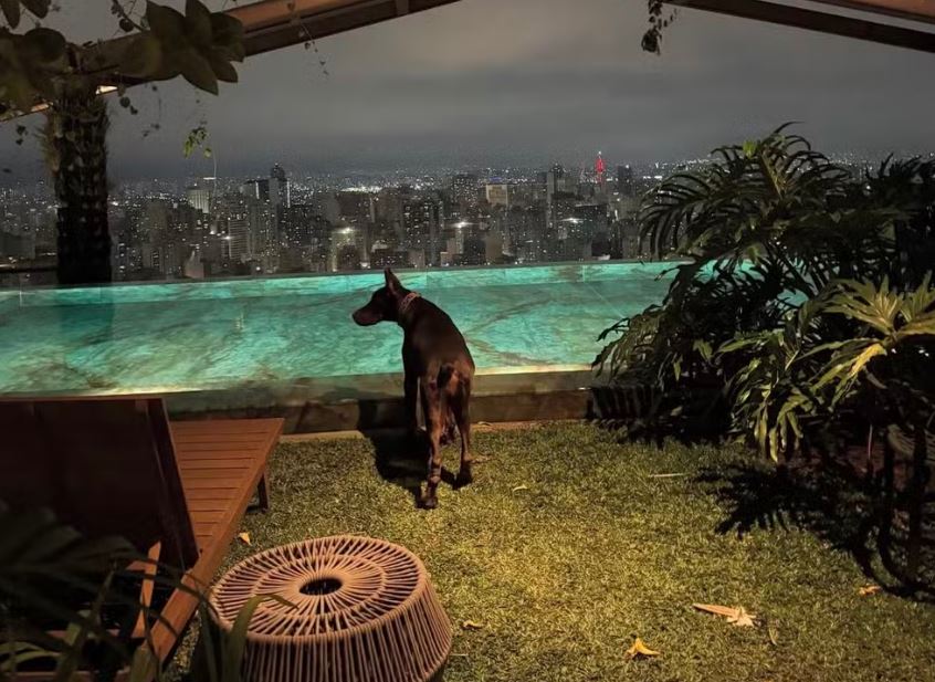 Foto: Reprodução/Instagram