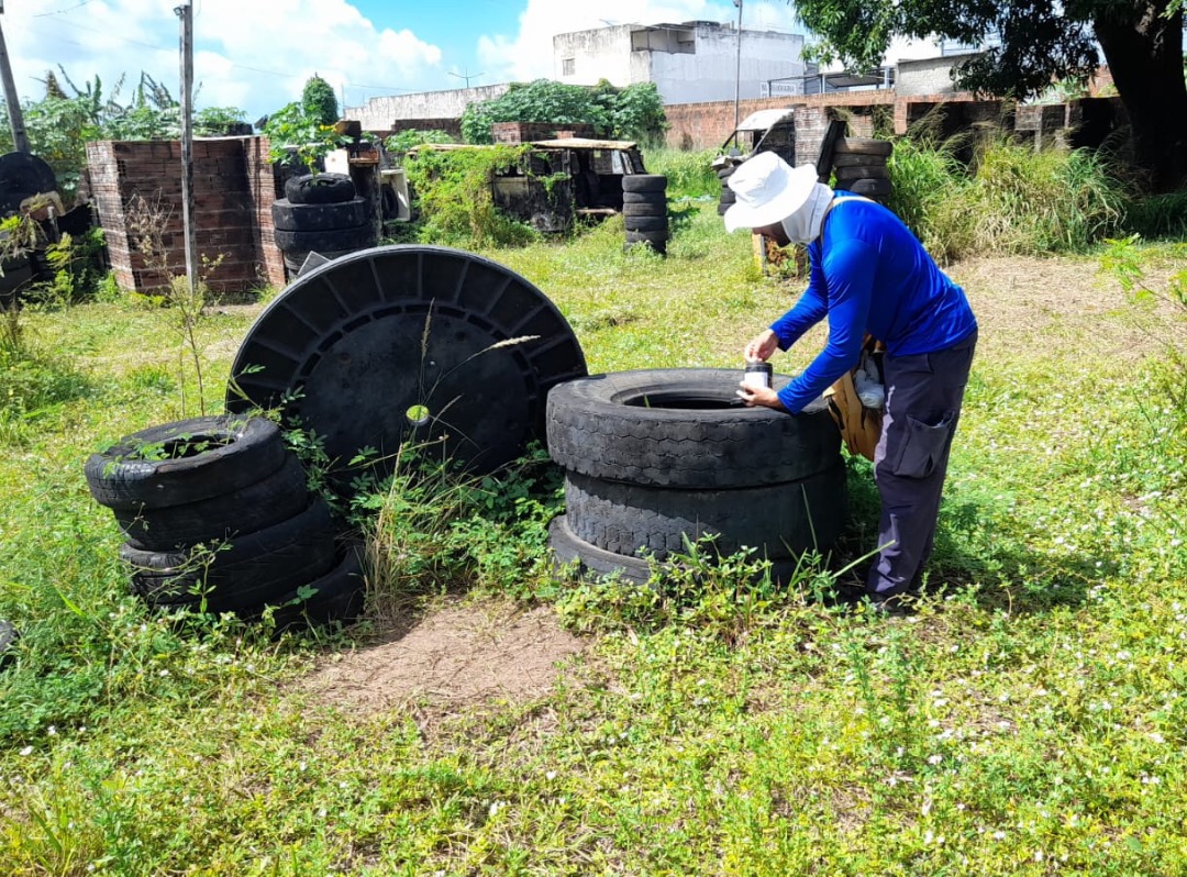 COMBATE A ARBOVIROSES EM NATAL | SMS