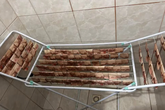 FireShot Capture 527 - Polícia acha dinheiro no varal durante ação contra lavagem de dinhe_ - [www.metropoles.com].png