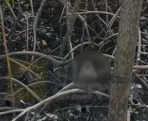 FireShot Capture 201 - (18) WhatsApp - [web.whatsapp.com].png