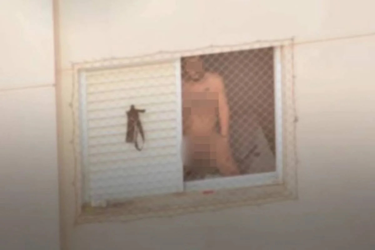 Reprodução / @portal6noticias