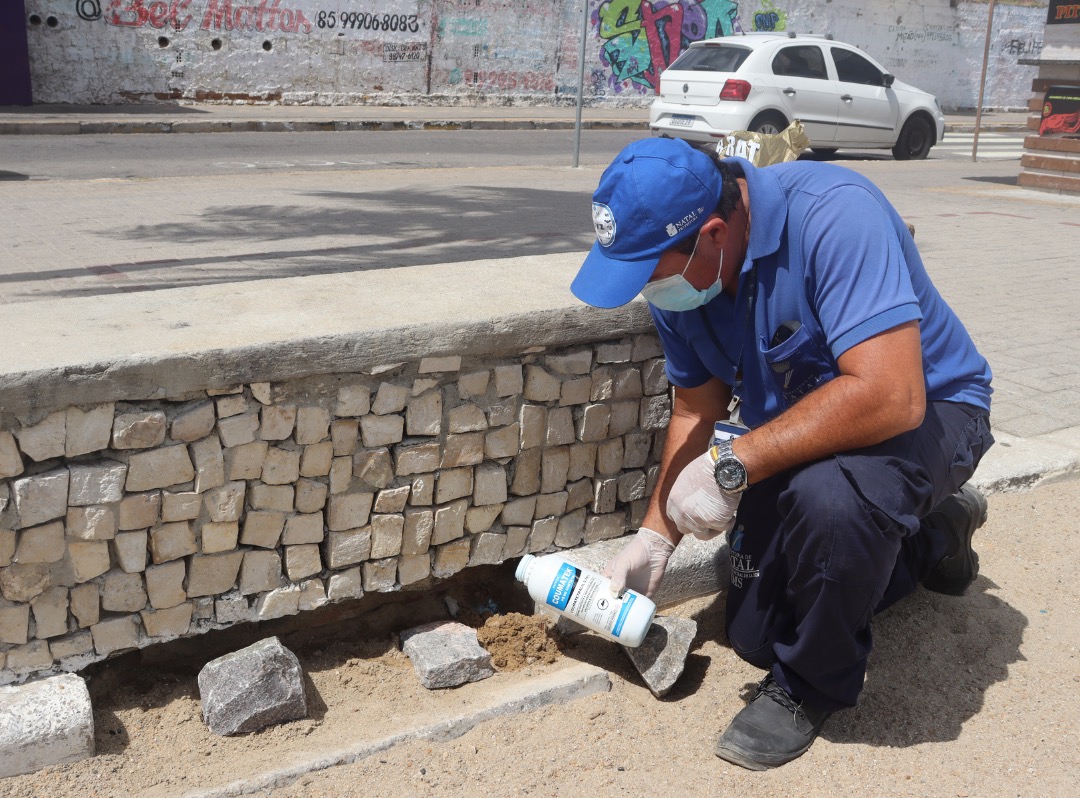 RATOS NAS PRAIAS DE NATAL | Crédito: SMS