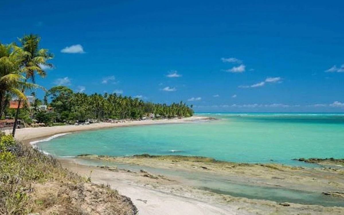 WhatsApp Image 2026-01-05 at 10.08.41.jpeg