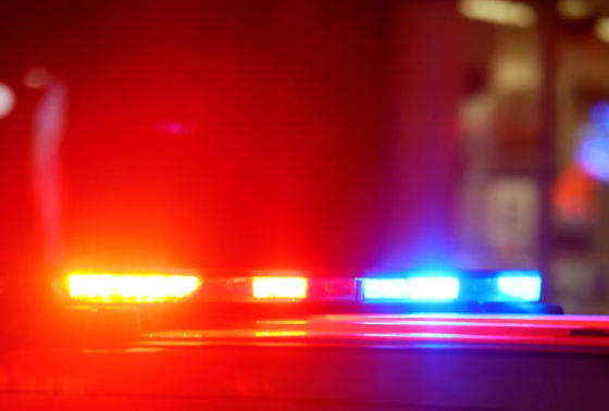 FireShot Capture 269 - Família dizimada_ homem mata pai, madrasta, irmãs e sobrinho de 5 a_ - [www.metropoles.com].png