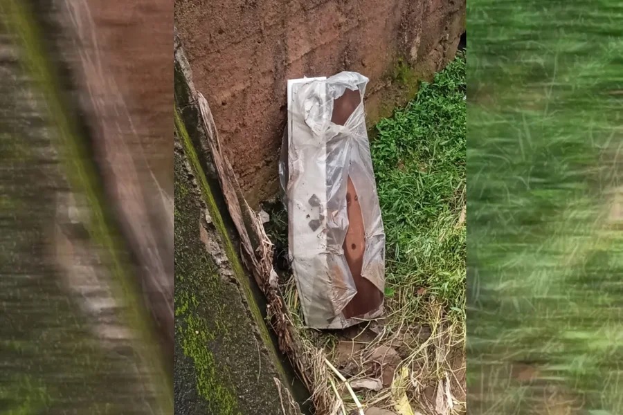 Reprodução/Kadu Fontana