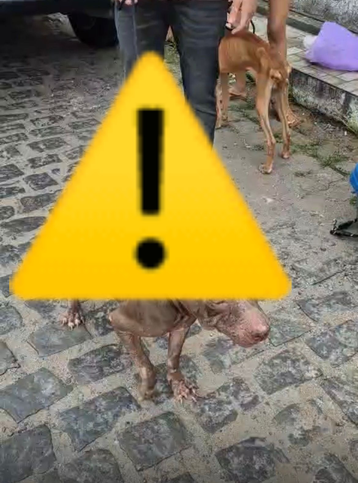 WhatsApp Image 2026-02-27 at 10.23.58.jpeg