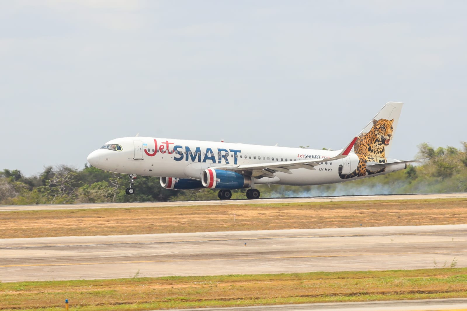 WhatsApp Image 2026-03-09 at 14.49.54.jpeg