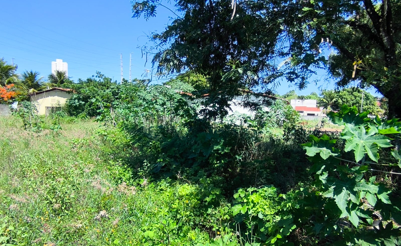 WhatsApp Image 2026-03-12 at 16.50.54.jpeg