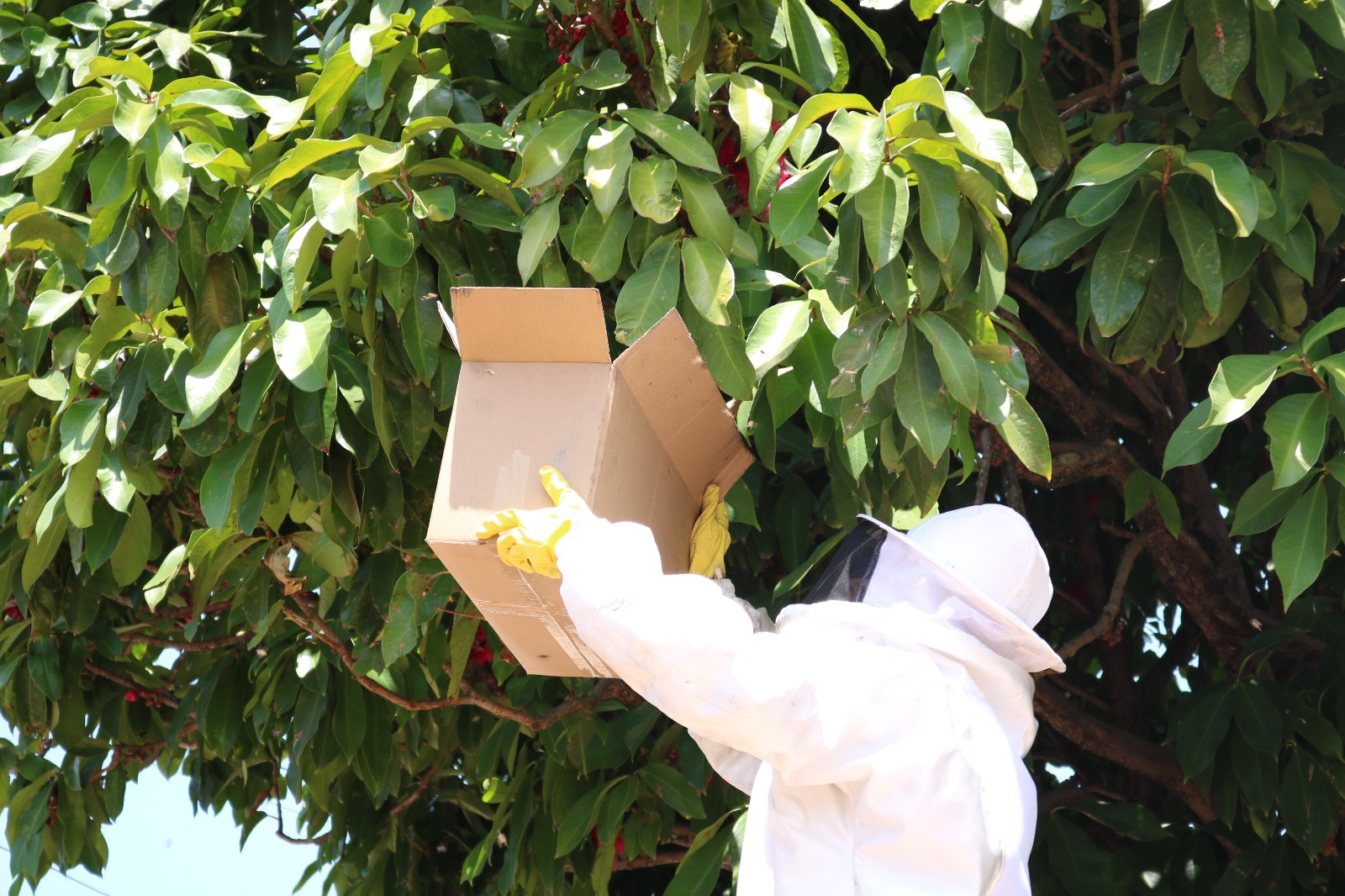 WhatsApp Image 2026-03-16 at 09.21.01.jpeg