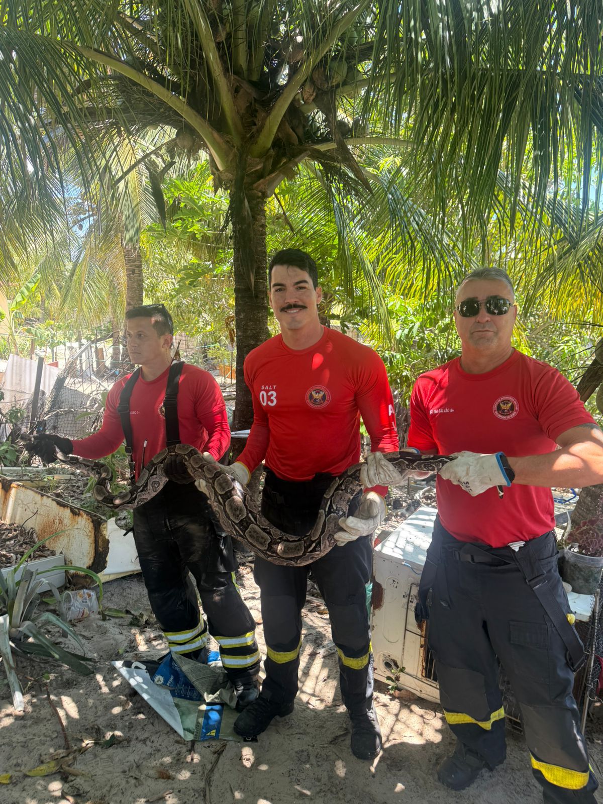 WhatsApp Image 2026-03-17 at 08.45.02.jpeg