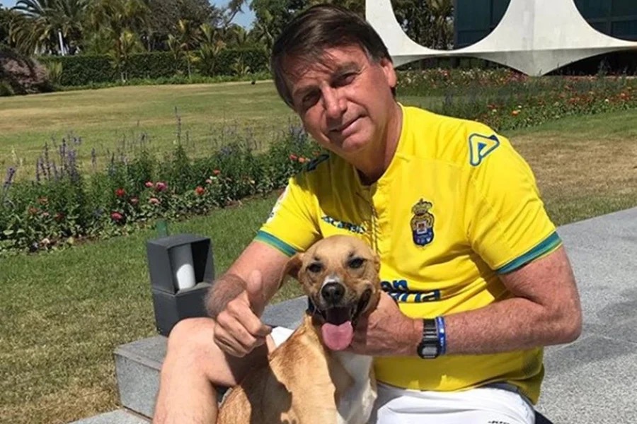Jair Bolsonaro e cachorro caramelo