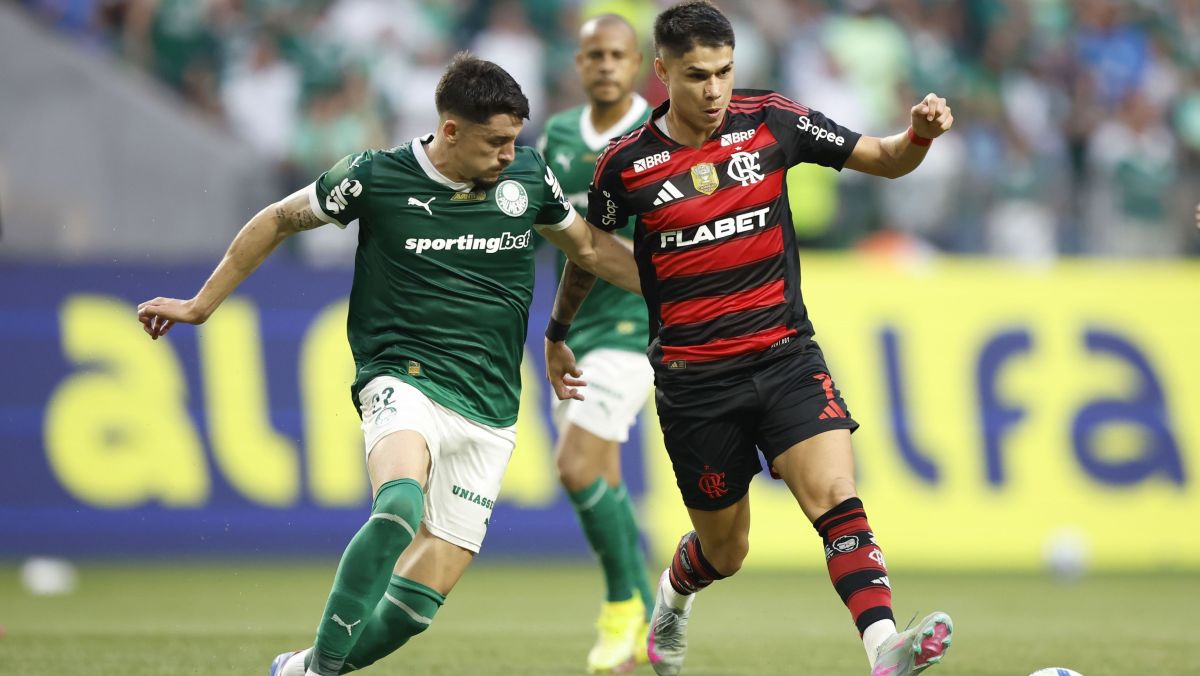 Flamengo e Palmeiras