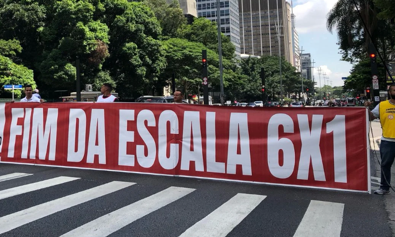 6x1-escala.png