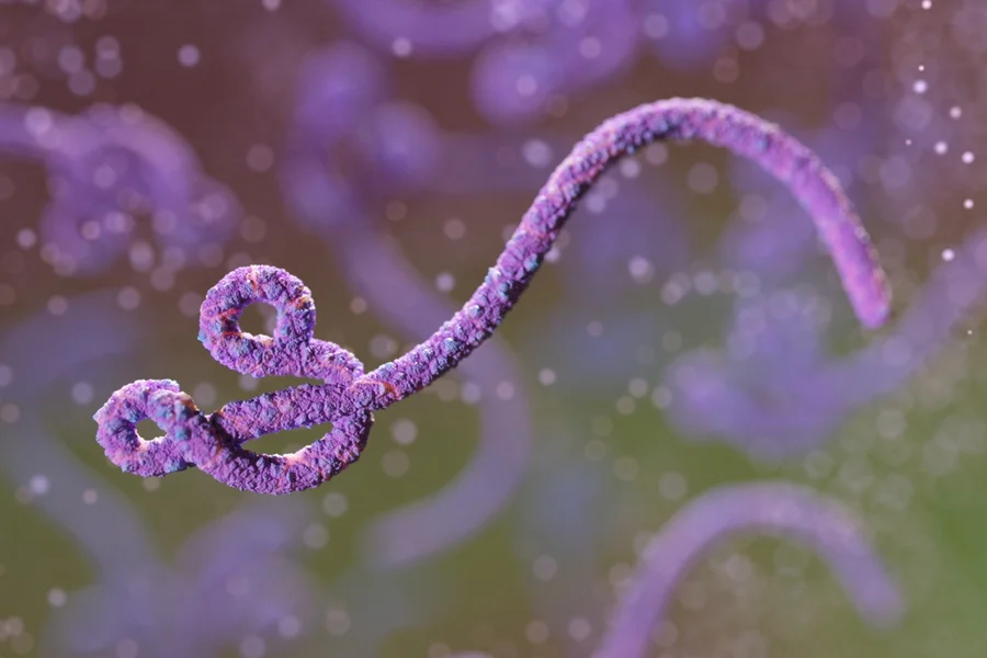ebola-metropolesjpg.webp