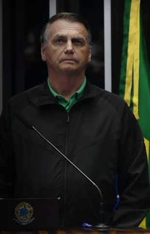 BOLSO11.PNG