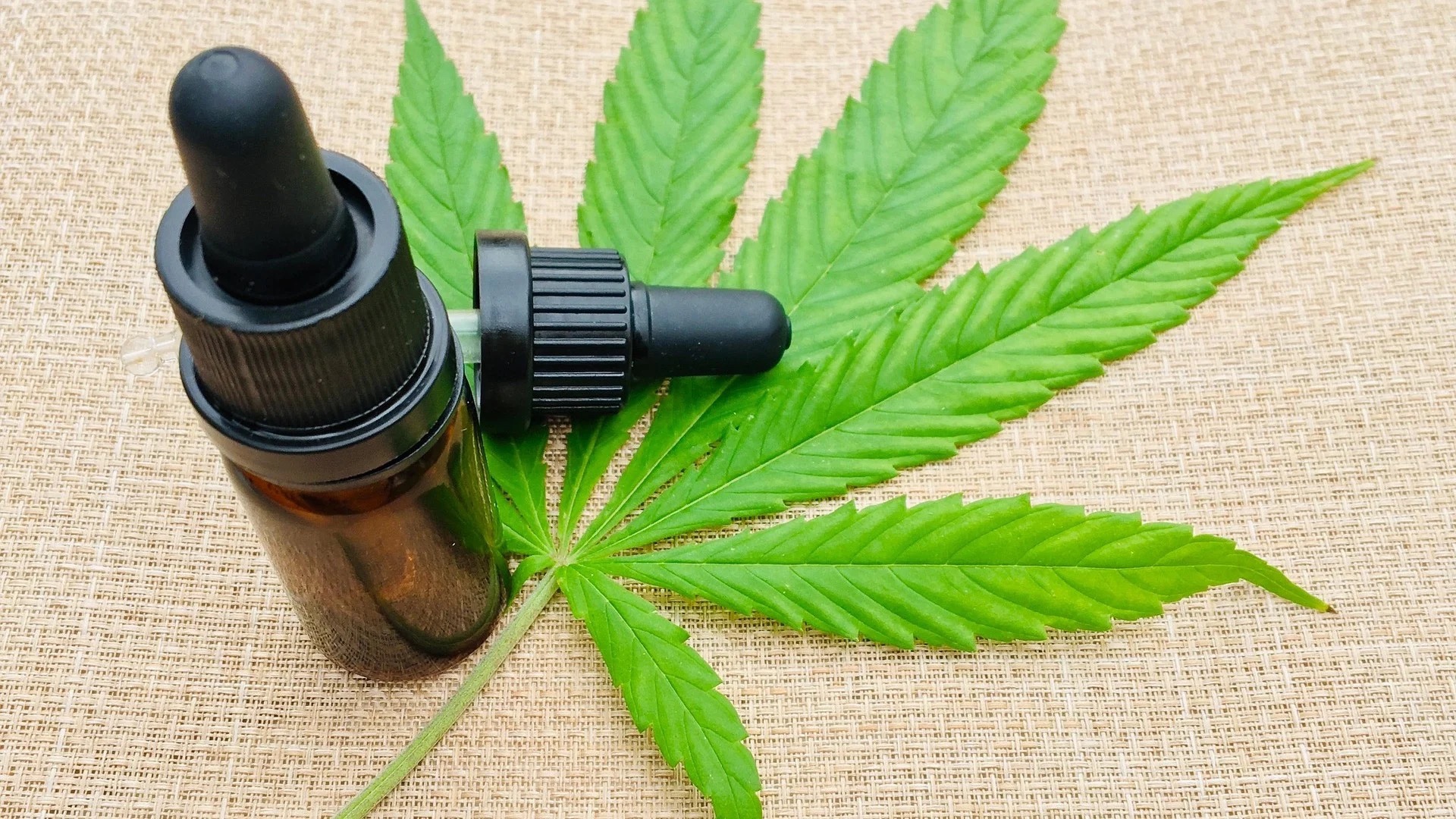 cannabis