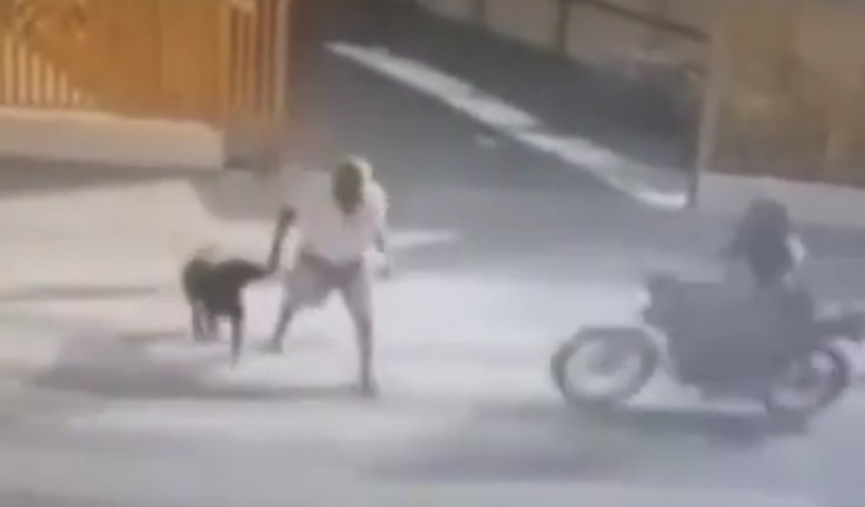 CENAS FORTES: Idoso e cachorro são atropelados na faixa de pedestre na zona Norte