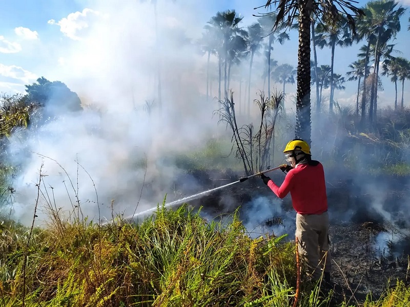 Corpo de Bombeiros combateu 101 ocorrências de incêndios florestais em primeira semana de operação