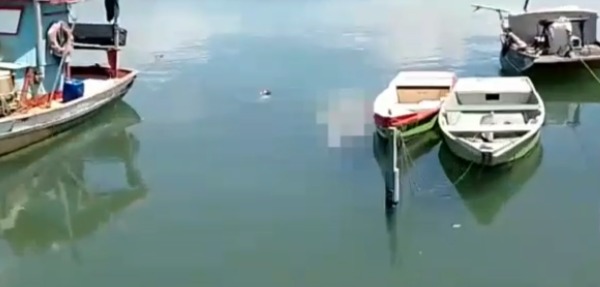 Imagem forte: Corpo de homem é encontrado boiando em meio a barcos no Canto do Mangue