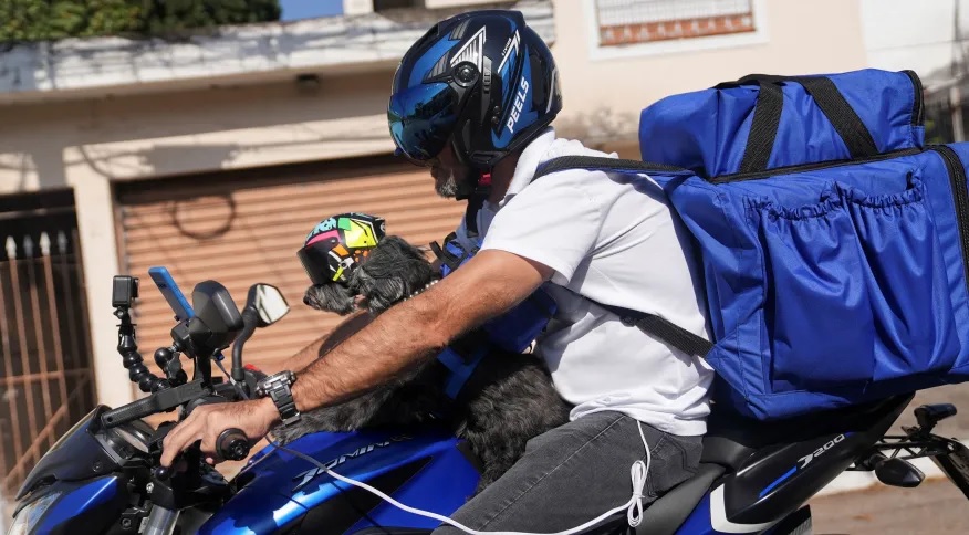 Cadela “entregadora” percorre as ruas distribuindo ração para cachorros com fome