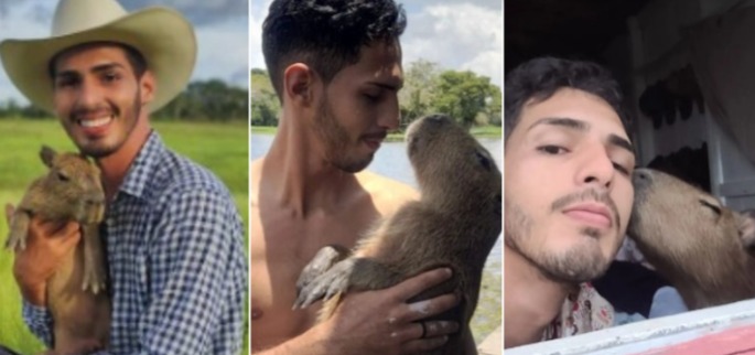 Influenciador se despede da capivara Filó: 'Seu verdadeiro habitat natural é o meu coração'