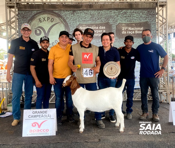 Do RN, Rebanho Saia Rodada é campeão nacional de melhor criador e expositor da raça Boer