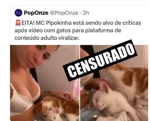 Deputado denuncia Mc Pipokinha e sugere prisão de funkeira por zoofilia