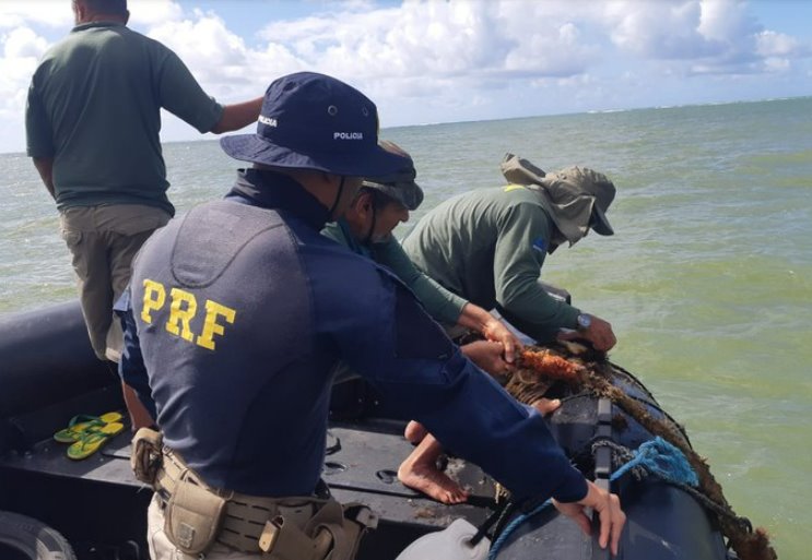 Operação da PRF com o IBAMA termina com 3 presos por pesca ilegal no RN, na PB e no PE