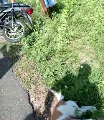 [VÍDEO] CRUELDADE: Homem é preso após atirar em cachorro e sair arrastando animal vivo em moto no RN