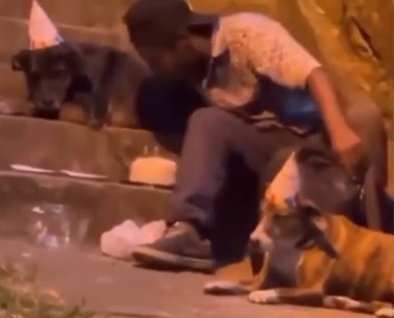 Jovem em situação de rua emociona internet ao dividir festa de aniversário com cachorros