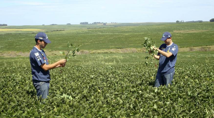 RN está entre estados contemplados a receberem R$ 6,7 bilhões do BID por projetos sustentáveis