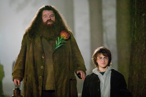 Robbie Coltrane, que interpretava o Hagrid de 'Harry Potter', morre aos 72 anos