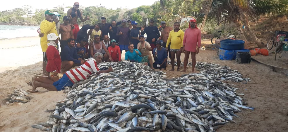 Fartura: Pescadores capturam 8 mil peixes e surpreendem frequentadores de praia da Grande Natal