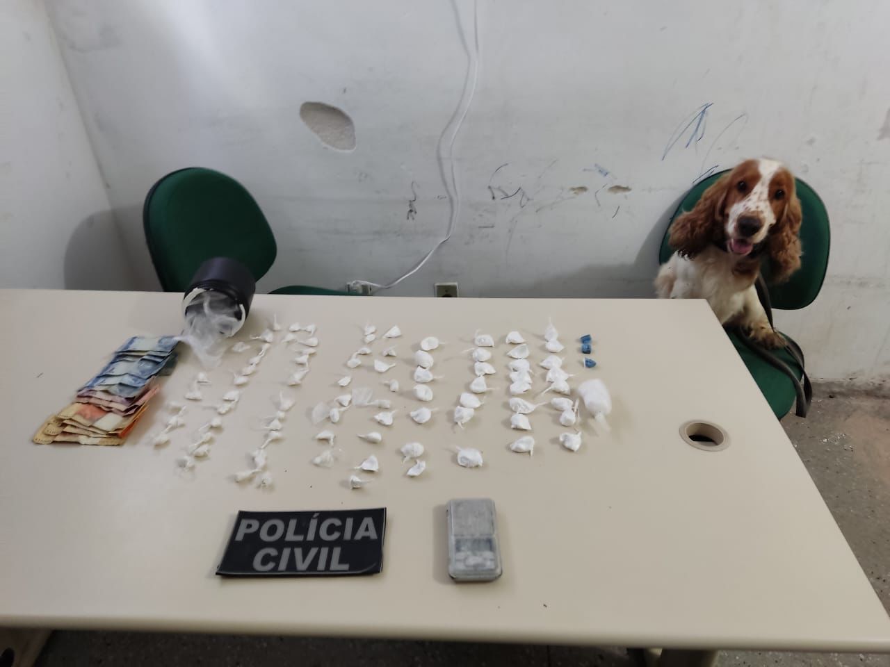 'Cowboy' é preso por roubos e tráfico de drogas em operação da Polícia Civil com auxílio de cão farejador