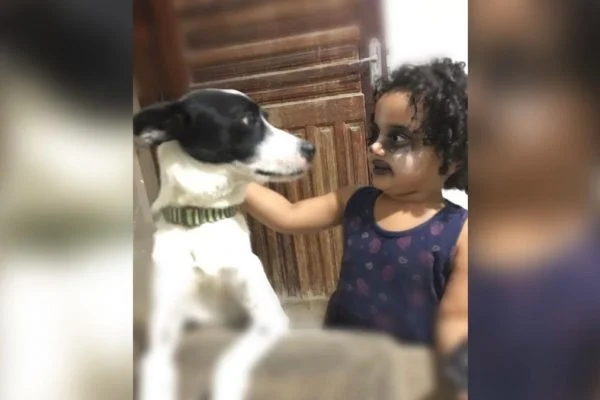 Já viu o meme? Saiba quem é a menina que se pinta para parecer com cachorro