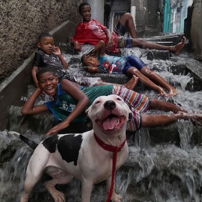 Foto de cachorro e crianças sorrindo durante temporal viraliza