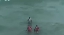 [VIDEO] Bombeiros tiram, à força, homem que tomava banho no mar logo após ataque de tubarão