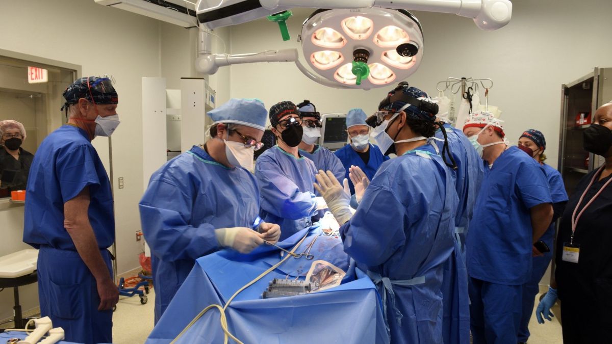 Cirurgiões americanos realizam com sucesso transplante de coração de porco em homem
