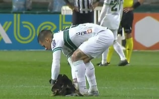 [VÍDEO] Cachorro invade jogo entre Coritiba e Ceará, faz a festa e dribla seguranças