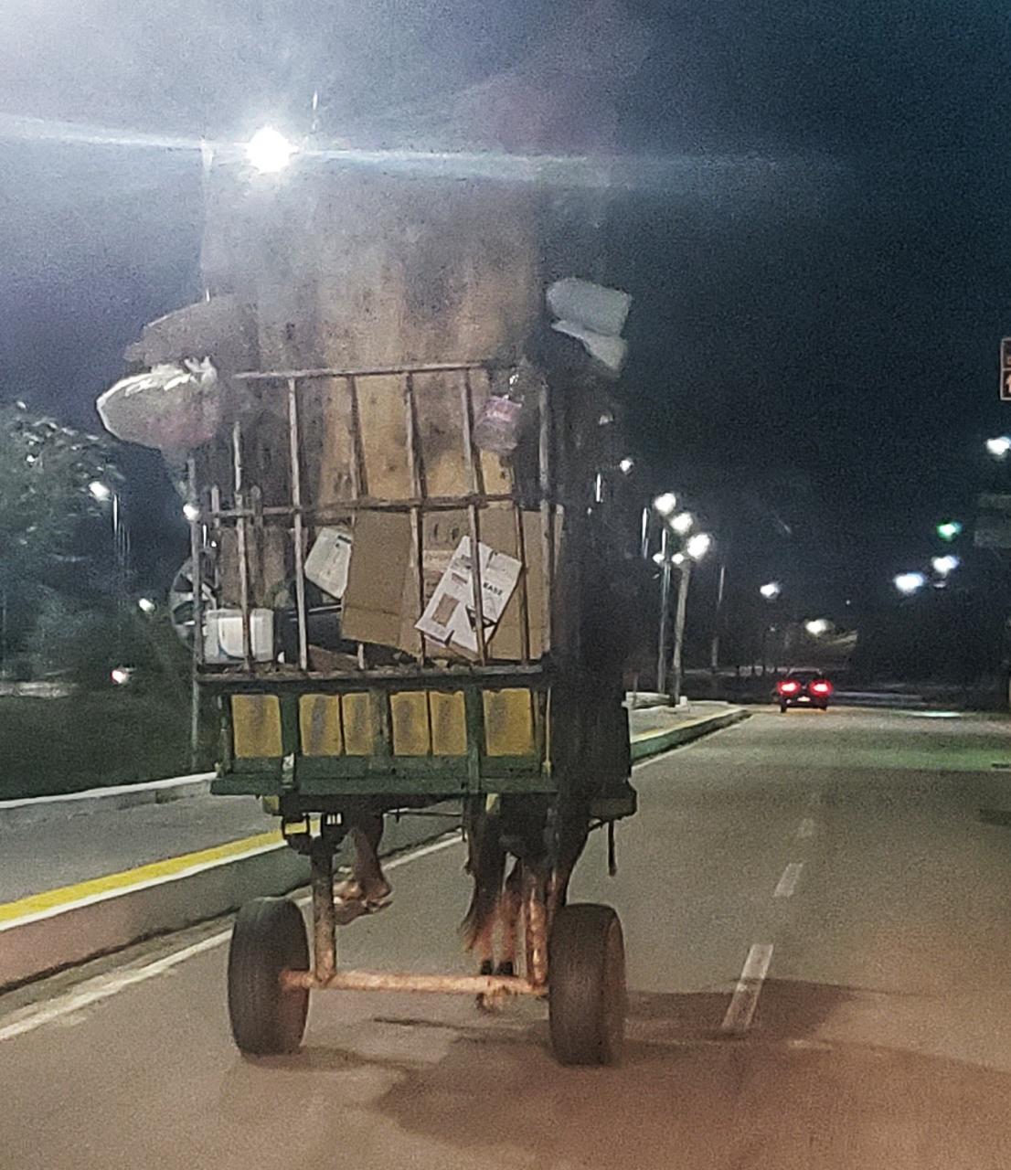 Ouvinte flagra carroça com mais de 2 metros de papelão e quatro adolescentes em Natal