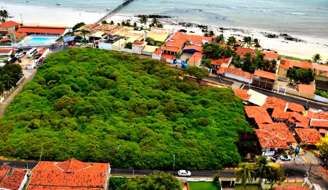 Cajueiro de Pirangi promove atividades durante a Semana Estadual do Meio Ambiente