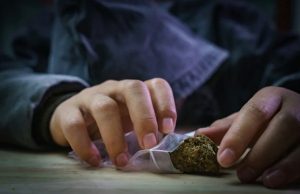 Maconha pode encolher testículos e prejudicar fertilidade, diz estudo