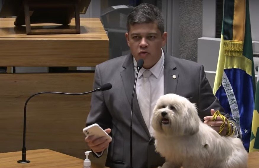 Deputado leva cachorro para o plenário da Assembleia Legislativa no DF