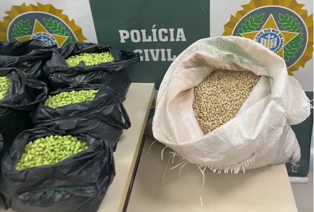 Homem é preso por tingir de verde feijão fradinho para vender como feijão de corda