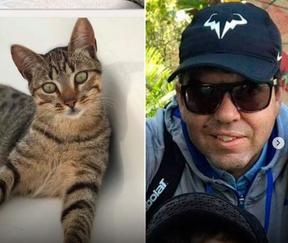 Gato da família ajuda a encontrar corpo de empresário atingido pela tragédia em Petrópolis