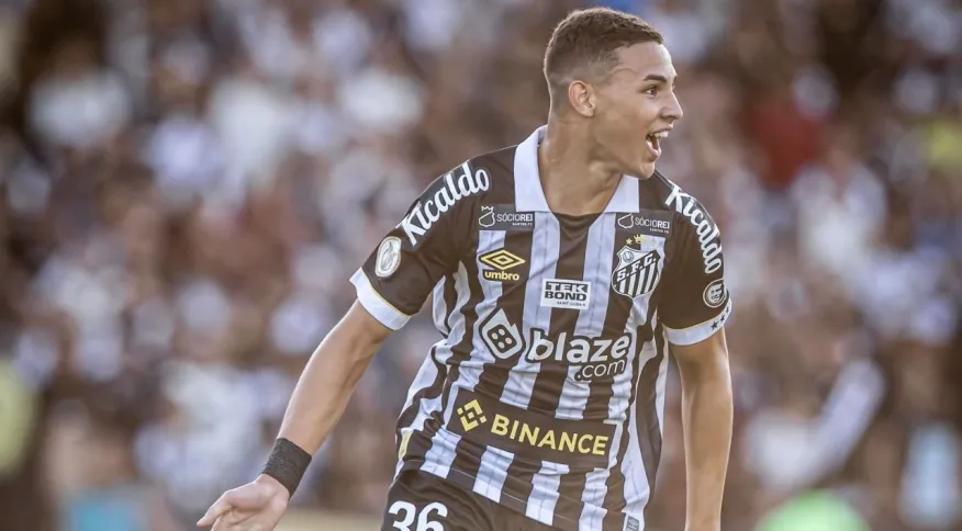 Santos vence em São Januário e Vasco se aproxima do Z4 do Campeonato Brasileiro