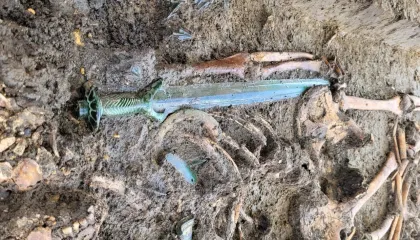 Excalibur? Arqueólogos encontram espada de 3 mil anos intacta