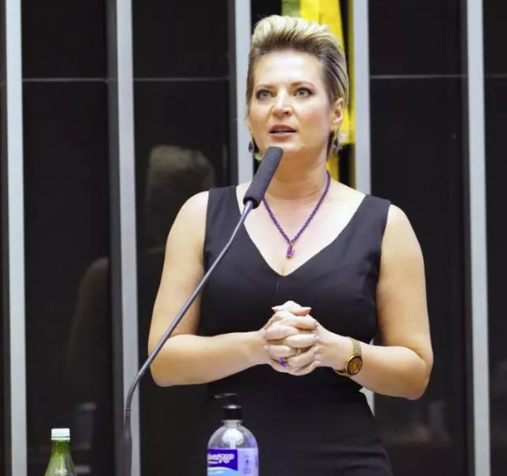 Joice Hasselmann perde recurso contra mulher que a chamou de “porca”