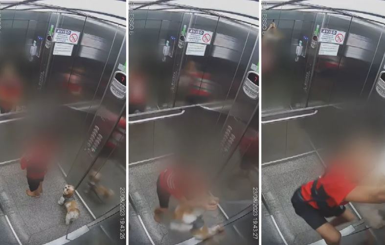 [VÍDEO] Criança pula no teto de elevador para salvar cadela que ficou com coleira presa na porta