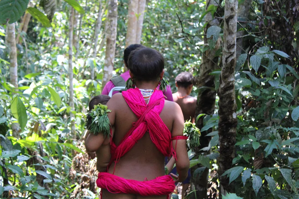 Ministério investiga denúncia de 30 adolescentes grávidas de garimpeiros na Terra Yanomami